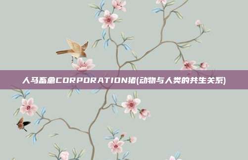 人马畜禽CORPORATION猪(动物与人类的共生关系)